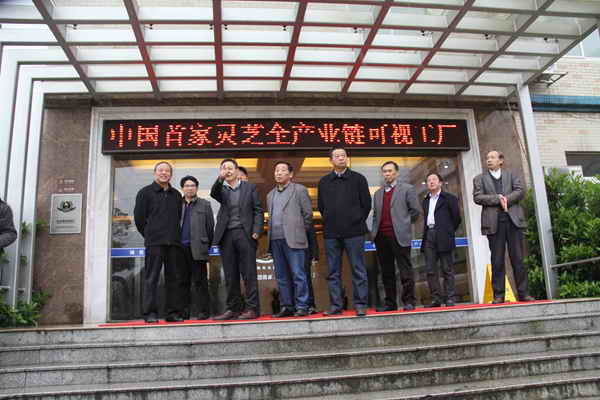 杭州亞運(yùn)會官方靈芝產(chǎn)品供應(yīng)商|杭州亞運(yùn)會官方供應(yīng)商|中國靈芝十大品牌|仙客來靈芝|仙客來靈芝破壁孢子粉|仙客來孢子油|仙客來靈芝飲片|仙客來破壁孢子粉|靈芝孢子油|孢子粉|靈芝破壁孢子粉|靈芝|中華老字號