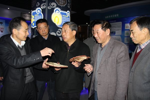 杭州亞運(yùn)會官方靈芝產(chǎn)品供應(yīng)商|杭州亞運(yùn)會官方供應(yīng)商|中國靈芝十大品牌|仙客來靈芝|仙客來靈芝破壁孢子粉|仙客來孢子油|仙客來靈芝飲片|仙客來破壁孢子粉|靈芝孢子油|孢子粉|靈芝破壁孢子粉|靈芝|中華老字號