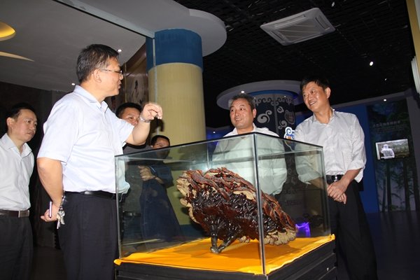 杭州亞運(yùn)會官方靈芝產(chǎn)品供應(yīng)商|杭州亞運(yùn)會官方供應(yīng)商|中國靈芝十大品牌|仙客來靈芝|仙客來靈芝破壁孢子粉|仙客來孢子油|仙客來靈芝飲片|仙客來破壁孢子粉|靈芝孢子油|孢子粉|靈芝破壁孢子粉|靈芝|中華老字號 杭州亞運(yùn)會官方靈芝產(chǎn)品供應(yīng)商|杭州亞運(yùn)會官方供應(yīng)商|中國靈芝十大品牌|仙客來靈芝|仙客來靈芝破壁孢子粉|仙客來孢子油|仙客來靈芝飲片|仙客來破壁孢子粉|靈芝孢子油|孢子粉|靈芝破壁孢子粉|靈芝|中華老字號