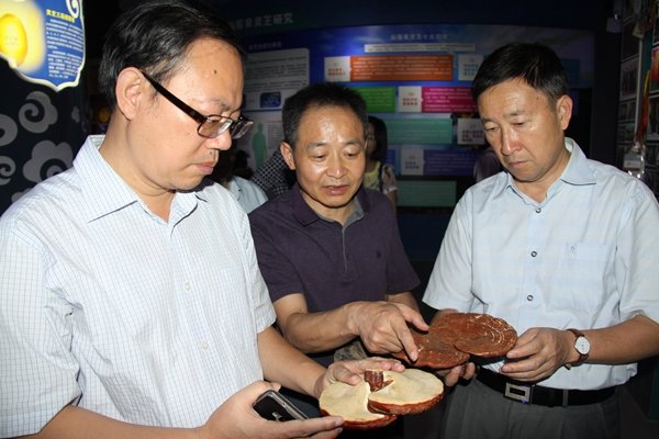 杭州亞運會官方靈芝產(chǎn)品供應(yīng)商|杭州亞運會官方供應(yīng)商|中國靈芝十大品牌|仙客來靈芝|仙客來靈芝破壁孢子粉|仙客來孢子油|仙客來靈芝飲片|仙客來破壁孢子粉|靈芝孢子油|孢子粉|靈芝破壁孢子粉|靈芝|中華老字號 杭州亞運會官方靈芝產(chǎn)品供應(yīng)商|杭州亞運會官方供應(yīng)商|中國靈芝十大品牌|仙客來靈芝|仙客來靈芝破壁孢子粉|仙客來孢子油|仙客來靈芝飲片|仙客來破壁孢子粉|靈芝孢子油|孢子粉|靈芝破壁孢子粉|靈芝|中華老字號