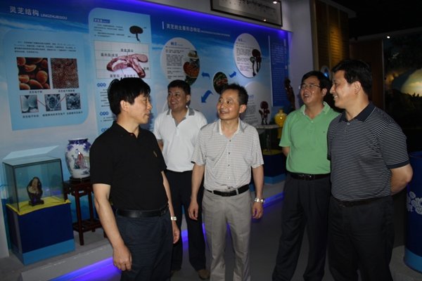 杭州亞運會官方靈芝產(chǎn)品供應商|杭州亞運會官方供應商|中國靈芝十大品牌|仙客來靈芝|仙客來靈芝破壁孢子粉|仙客來孢子油|仙客來靈芝飲片|仙客來破壁孢子粉|靈芝孢子油|孢子粉|靈芝破壁孢子粉|靈芝|中華老字號 杭州亞運會官方靈芝產(chǎn)品供應商|杭州亞運會官方供應商|中國靈芝十大品牌|仙客來靈芝|仙客來靈芝破壁孢子粉|仙客來孢子油|仙客來靈芝飲片|仙客來破壁孢子粉|靈芝孢子油|孢子粉|靈芝破壁孢子粉|靈芝|中華老字號