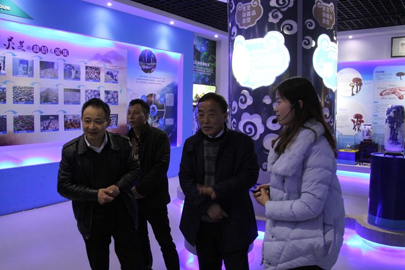 杭州亞運(yùn)會官方靈芝產(chǎn)品供應(yīng)商|杭州亞運(yùn)會官方供應(yīng)商|中國靈芝十大品牌|仙客來靈芝|仙客來靈芝破壁孢子粉|仙客來孢子油|仙客來靈芝飲片|仙客來破壁孢子粉|靈芝孢子油|孢子粉|靈芝破壁孢子粉|靈芝|中華老字號