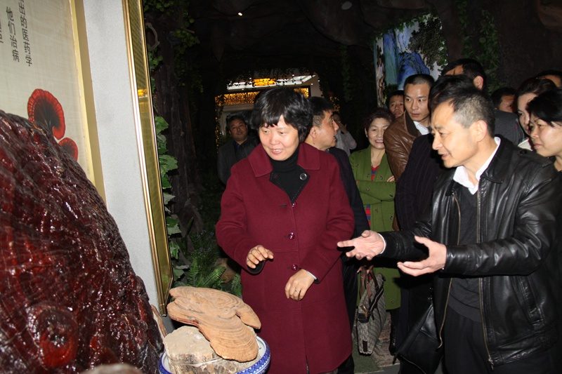 杭州亞運(yùn)會(huì)官方靈芝產(chǎn)品供應(yīng)商|杭州亞運(yùn)會(huì)官方供應(yīng)商|中國(guó)靈芝十大品牌|仙客來(lái)靈芝|仙客來(lái)靈芝破壁孢子粉|仙客來(lái)孢子油|仙客來(lái)靈芝飲片|仙客來(lái)破壁孢子粉|靈芝孢子油|孢子粉|靈芝破壁孢子粉|靈芝|中華老字號(hào)