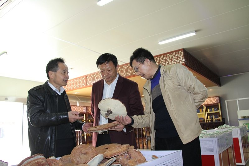 杭州亞運會官方靈芝產(chǎn)品供應商|杭州亞運會官方供應商|中國靈芝十大品牌|仙客來靈芝|仙客來靈芝破壁孢子粉|仙客來孢子油|仙客來靈芝飲片|仙客來破壁孢子粉|靈芝孢子油|孢子粉|靈芝破壁孢子粉|靈芝|中華老字號 杭州亞運會官方靈芝產(chǎn)品供應商|杭州亞運會官方供應商|中國靈芝十大品牌|仙客來靈芝|仙客來靈芝破壁孢子粉|仙客來孢子油|仙客來靈芝飲片|仙客來破壁孢子粉|靈芝孢子油|孢子粉|靈芝破壁孢子粉|靈芝|中華老字號