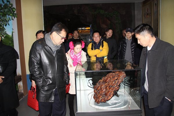 杭州亞運(yùn)會(huì)官方靈芝產(chǎn)品供應(yīng)商|杭州亞運(yùn)會(huì)官方供應(yīng)商|中國靈芝十大品牌|仙客來靈芝|仙客來靈芝破壁孢子粉|仙客來孢子油|仙客來靈芝飲片|仙客來破壁孢子粉|靈芝孢子油|孢子粉|靈芝破壁孢子粉|靈芝|中華老字號(hào) 杭州亞運(yùn)會(huì)官方靈芝產(chǎn)品供應(yīng)商|杭州亞運(yùn)會(huì)官方供應(yīng)商|中國靈芝十大品牌|仙客來靈芝|仙客來靈芝破壁孢子粉|仙客來孢子油|仙客來靈芝飲片|仙客來破壁孢子粉|靈芝孢子油|孢子粉|靈芝破壁孢子粉|靈芝|中華老字號(hào)