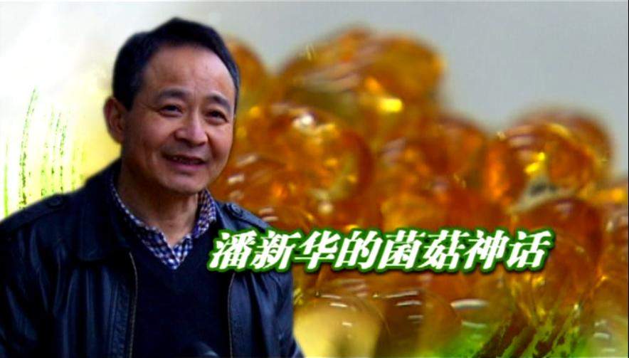 杭州亞運(yùn)會官方靈芝產(chǎn)品供應(yīng)商|杭州亞運(yùn)會官方供應(yīng)商|中國靈芝十大品牌|仙客來靈芝|仙客來靈芝破壁孢子粉|仙客來孢子油|仙客來靈芝飲片|仙客來破壁孢子粉|靈芝孢子油|孢子粉|靈芝破壁孢子粉|靈芝|中華老字號