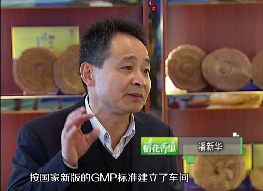 杭州亞運(yùn)會官方靈芝產(chǎn)品供應(yīng)商|杭州亞運(yùn)會官方供應(yīng)商|中國靈芝十大品牌|仙客來靈芝|仙客來靈芝破壁孢子粉|仙客來孢子油|仙客來靈芝飲片|仙客來破壁孢子粉|靈芝孢子油|孢子粉|靈芝破壁孢子粉|靈芝|中華老字號