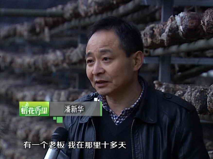 杭州亞運(yùn)會官方靈芝產(chǎn)品供應(yīng)商|杭州亞運(yùn)會官方供應(yīng)商|中國靈芝十大品牌|仙客來靈芝|仙客來靈芝破壁孢子粉|仙客來孢子油|仙客來靈芝飲片|仙客來破壁孢子粉|靈芝孢子油|孢子粉|靈芝破壁孢子粉|靈芝|中華老字號