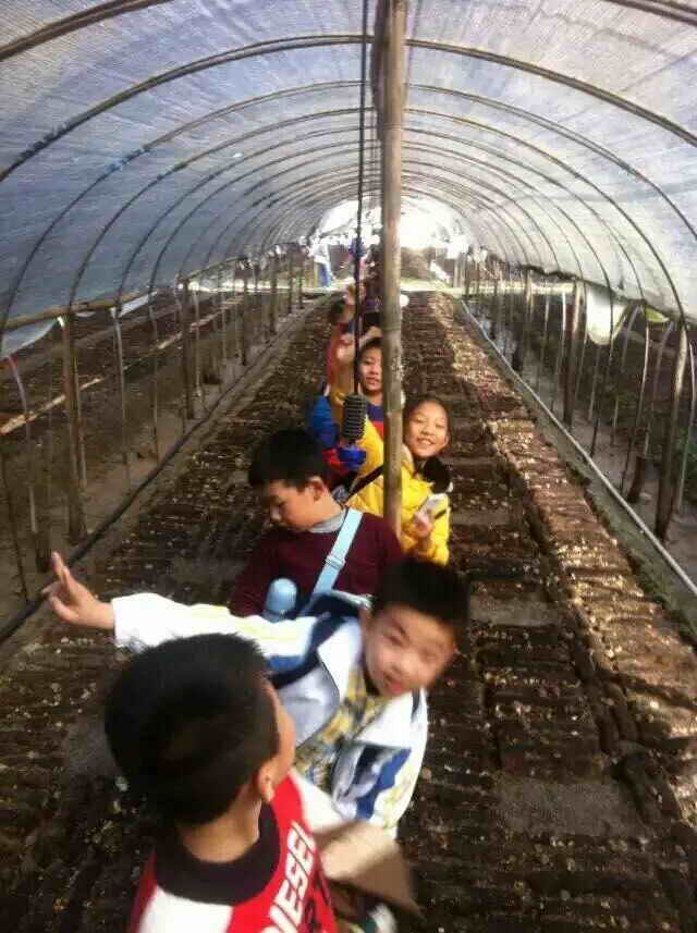 杭州亞運(yùn)會(huì)官方靈芝產(chǎn)品供應(yīng)商|杭州亞運(yùn)會(huì)官方供應(yīng)商|中國(guó)靈芝十大品牌|仙客來(lái)靈芝|仙客來(lái)靈芝破壁孢子粉|仙客來(lái)孢子油|仙客來(lái)靈芝飲片|仙客來(lái)破壁孢子粉|靈芝孢子油|孢子粉|靈芝破壁孢子粉|靈芝|中華老字號(hào) 杭州亞運(yùn)會(huì)官方靈芝產(chǎn)品供應(yīng)商|杭州亞運(yùn)會(huì)官方供應(yīng)商|中國(guó)靈芝十大品牌|仙客來(lái)靈芝|仙客來(lái)靈芝破壁孢子粉|仙客來(lái)孢子油|仙客來(lái)靈芝飲片|仙客來(lái)破壁孢子粉|靈芝孢子油|孢子粉|靈芝破壁孢子粉|靈芝|中華老字號(hào)