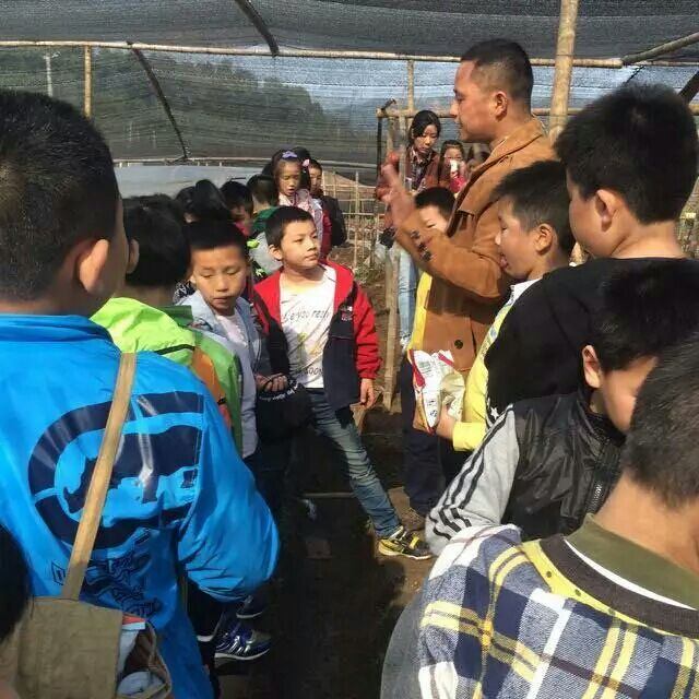 杭州亞運(yùn)會(huì)官方靈芝產(chǎn)品供應(yīng)商|杭州亞運(yùn)會(huì)官方供應(yīng)商|中國(guó)靈芝十大品牌|仙客來(lái)靈芝|仙客來(lái)靈芝破壁孢子粉|仙客來(lái)孢子油|仙客來(lái)靈芝飲片|仙客來(lái)破壁孢子粉|靈芝孢子油|孢子粉|靈芝破壁孢子粉|靈芝|中華老字號(hào) 杭州亞運(yùn)會(huì)官方靈芝產(chǎn)品供應(yīng)商|杭州亞運(yùn)會(huì)官方供應(yīng)商|中國(guó)靈芝十大品牌|仙客來(lái)靈芝|仙客來(lái)靈芝破壁孢子粉|仙客來(lái)孢子油|仙客來(lái)靈芝飲片|仙客來(lái)破壁孢子粉|靈芝孢子油|孢子粉|靈芝破壁孢子粉|靈芝|中華老字號(hào)