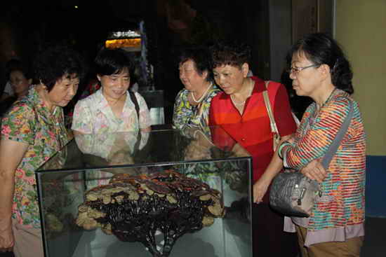 杭州亞運(yùn)會(huì)官方靈芝產(chǎn)品供應(yīng)商|杭州亞運(yùn)會(huì)官方供應(yīng)商|中國靈芝十大品牌|仙客來靈芝|仙客來靈芝破壁孢子粉|仙客來孢子油|仙客來靈芝飲片|仙客來破壁孢子粉|靈芝孢子油|孢子粉|靈芝破壁孢子粉|靈芝|中華老字號