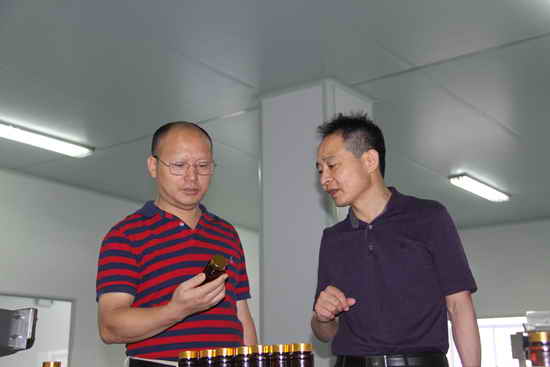 杭州亞運會官方靈芝產(chǎn)品供應商|杭州亞運會官方供應商|中國靈芝十大品牌|仙客來靈芝|仙客來靈芝破壁孢子粉|仙客來孢子油|仙客來靈芝飲片|仙客來破壁孢子粉|靈芝孢子油|孢子粉|靈芝破壁孢子粉|靈芝|中華老字號