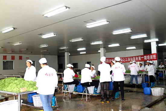 杭州亞運(yùn)會官方靈芝產(chǎn)品供應(yīng)商|杭州亞運(yùn)會官方供應(yīng)商|中國靈芝十大品牌|仙客來靈芝|仙客來靈芝破壁孢子粉|仙客來孢子油|仙客來靈芝飲片|仙客來破壁孢子粉|靈芝孢子油|孢子粉|靈芝破壁孢子粉|靈芝|中華老字號