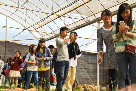 杭州亞運(yùn)會官方靈芝產(chǎn)品供應(yīng)商|杭州亞運(yùn)會官方供應(yīng)商|中國靈芝十大品牌|仙客來靈芝|仙客來靈芝破壁孢子粉|仙客來孢子油|仙客來靈芝飲片|仙客來破壁孢子粉|靈芝孢子油|孢子粉|靈芝破壁孢子粉|靈芝|中華老字號