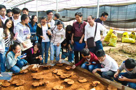 杭州亞運(yùn)會官方靈芝產(chǎn)品供應(yīng)商|杭州亞運(yùn)會官方供應(yīng)商|中國靈芝十大品牌|仙客來靈芝|仙客來靈芝破壁孢子粉|仙客來孢子油|仙客來靈芝飲片|仙客來破壁孢子粉|靈芝孢子油|孢子粉|靈芝破壁孢子粉|靈芝|中華老字號