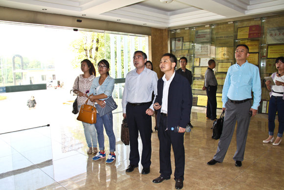 杭州亞運會官方靈芝產(chǎn)品供應商|杭州亞運會官方供應商|中國靈芝十大品牌|仙客來靈芝|仙客來靈芝破壁孢子粉|仙客來孢子油|仙客來靈芝飲片|仙客來破壁孢子粉|靈芝孢子油|孢子粉|靈芝破壁孢子粉|靈芝|中華老字號