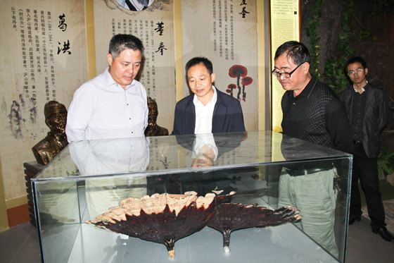 杭州亞運(yùn)會(huì)官方靈芝產(chǎn)品供應(yīng)商|杭州亞運(yùn)會(huì)官方供應(yīng)商|中國靈芝十大品牌|仙客來靈芝|仙客來靈芝破壁孢子粉|仙客來孢子油|仙客來靈芝飲片|仙客來破壁孢子粉|靈芝孢子油|孢子粉|靈芝破壁孢子粉|靈芝|中華老字號(hào)