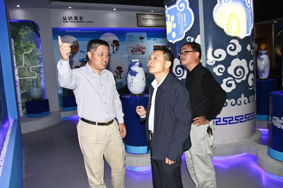 杭州亞運(yùn)會(huì)官方靈芝產(chǎn)品供應(yīng)商|杭州亞運(yùn)會(huì)官方供應(yīng)商|中國靈芝十大品牌|仙客來靈芝|仙客來靈芝破壁孢子粉|仙客來孢子油|仙客來靈芝飲片|仙客來破壁孢子粉|靈芝孢子油|孢子粉|靈芝破壁孢子粉|靈芝|中華老字號(hào)