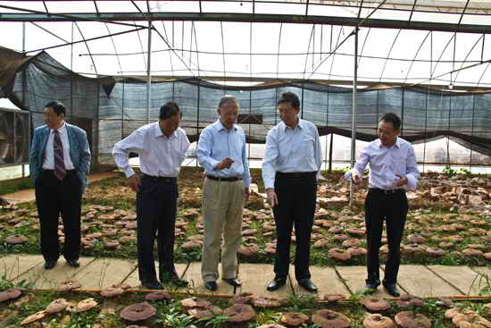 杭州亞運會官方靈芝產品供應商|杭州亞運會官方供應商|中國靈芝十大品牌|仙客來靈芝|仙客來靈芝破壁孢子粉|仙客來孢子油|仙客來靈芝飲片|仙客來破壁孢子粉|靈芝孢子油|孢子粉|靈芝破壁孢子粉|靈芝|中華老字號