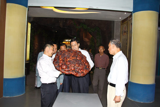 杭州亞運會官方靈芝產品供應商|杭州亞運會官方供應商|中國靈芝十大品牌|仙客來靈芝|仙客來靈芝破壁孢子粉|仙客來孢子油|仙客來靈芝飲片|仙客來破壁孢子粉|靈芝孢子油|孢子粉|靈芝破壁孢子粉|靈芝|中華老字號