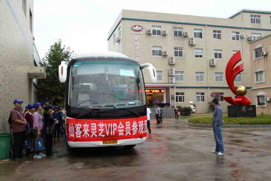 杭州亞運(yùn)會(huì)官方靈芝產(chǎn)品供應(yīng)商|杭州亞運(yùn)會(huì)官方供應(yīng)商|中國靈芝十大品牌|仙客來靈芝|仙客來靈芝破壁孢子粉|仙客來孢子油|仙客來靈芝飲片|仙客來破壁孢子粉|靈芝孢子油|孢子粉|靈芝破壁孢子粉|靈芝|中華老字號(hào)