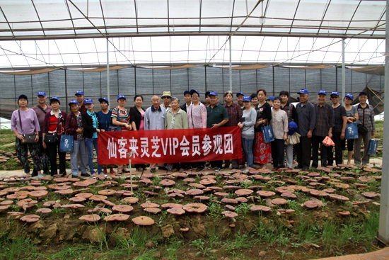 杭州亞運(yùn)會(huì)官方靈芝產(chǎn)品供應(yīng)商|杭州亞運(yùn)會(huì)官方供應(yīng)商|中國靈芝十大品牌|仙客來靈芝|仙客來靈芝破壁孢子粉|仙客來孢子油|仙客來靈芝飲片|仙客來破壁孢子粉|靈芝孢子油|孢子粉|靈芝破壁孢子粉|靈芝|中華老字號(hào)