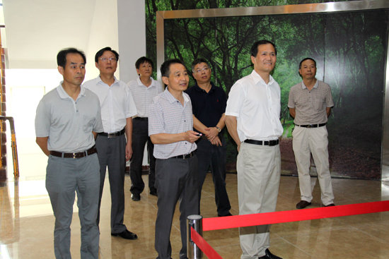 杭州亞運(yùn)會(huì)官方靈芝產(chǎn)品供應(yīng)商|杭州亞運(yùn)會(huì)官方供應(yīng)商|中國(guó)靈芝十大品牌|仙客來(lái)靈芝|仙客來(lái)靈芝破壁孢子粉|仙客來(lái)孢子油|仙客來(lái)靈芝飲片|仙客來(lái)破壁孢子粉|靈芝孢子油|孢子粉|靈芝破壁孢子粉|靈芝|中華老字號(hào)