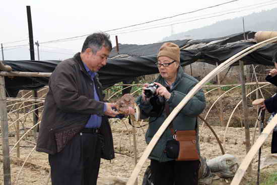 杭州亞運(yùn)會官方靈芝產(chǎn)品供應(yīng)商|杭州亞運(yùn)會官方供應(yīng)商|中國靈芝十大品牌|仙客來靈芝|仙客來靈芝破壁孢子粉|仙客來孢子油|仙客來靈芝飲片|仙客來破壁孢子粉|靈芝孢子油|孢子粉|靈芝破壁孢子粉|靈芝|中華老字號