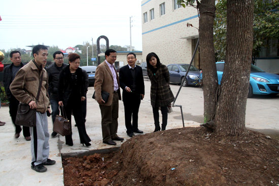 杭州亞運會官方靈芝產(chǎn)品供應商|杭州亞運會官方供應商|中國靈芝十大品牌|仙客來靈芝|仙客來靈芝破壁孢子粉|仙客來孢子油|仙客來靈芝飲片|仙客來破壁孢子粉|靈芝孢子油|孢子粉|靈芝破壁孢子粉|靈芝|中華老字號