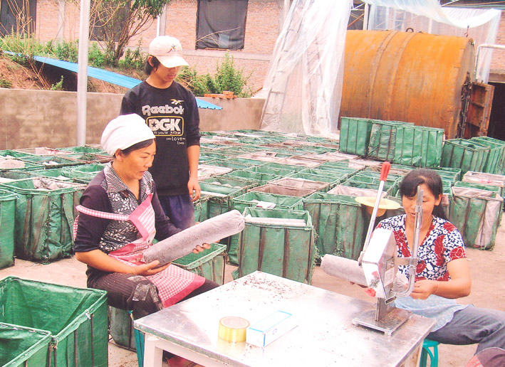 杭州亞運會官方靈芝產(chǎn)品供應商|杭州亞運會官方供應商|中國靈芝十大品牌|仙客來靈芝|仙客來靈芝破壁孢子粉|仙客來孢子油|仙客來靈芝飲片|仙客來破壁孢子粉|靈芝孢子油|孢子粉|靈芝破壁孢子粉|靈芝|中華老字號