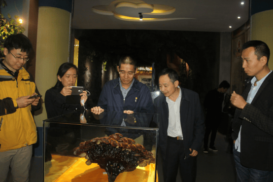 杭州亞運(yùn)會(huì)官方靈芝產(chǎn)品供應(yīng)商|杭州亞運(yùn)會(huì)官方供應(yīng)商|中國(guó)靈芝十大品牌|仙客來(lái)靈芝|仙客來(lái)靈芝破壁孢子粉|仙客來(lái)孢子油|仙客來(lái)靈芝飲片|仙客來(lái)破壁孢子粉|靈芝孢子油|孢子粉|靈芝破壁孢子粉|靈芝|中華老字號(hào)