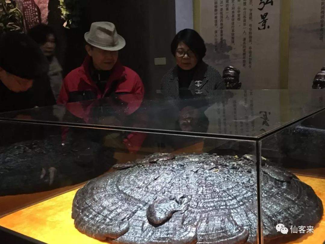 中國(guó)靈芝十大品牌|仙客來(lái)靈芝|仙客來(lái)靈芝破壁孢子粉|仙客來(lái)孢子油|仙客來(lái)靈芝飲片|仙客來(lái)破壁孢子粉|仙客來(lái)靈芝中藥飲片|馳名商標(biāo)|m.uglowindustry.com|