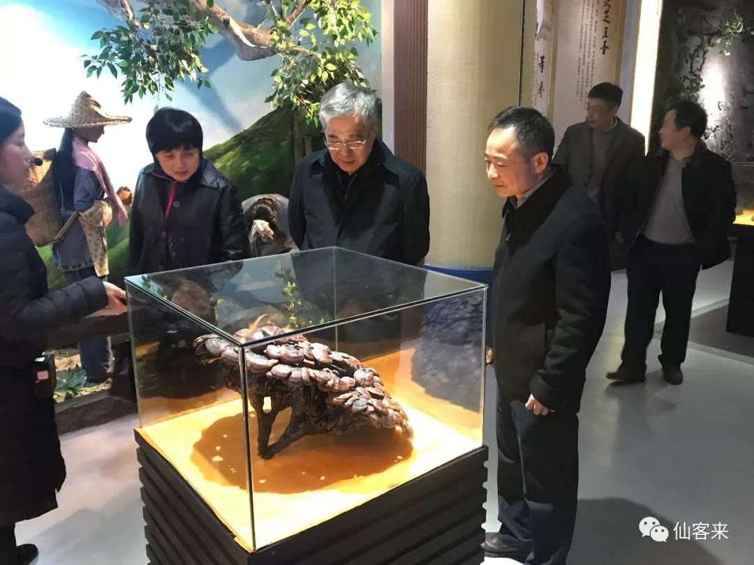 中國靈芝十大品牌|仙客來靈芝|仙客來靈芝破壁孢子粉|仙客來孢子油|仙客來靈芝飲片|仙客來破壁孢子粉|仙客來靈芝中藥飲片|馳名商標|m.uglowindustry.com|