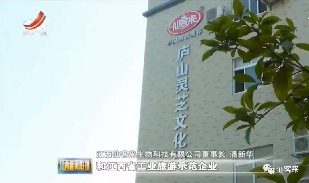 中國(guó)靈芝十大品牌|仙客來(lái)靈芝|仙客來(lái)靈芝破壁孢子粉|仙客來(lái)孢子油|仙客來(lái)靈芝飲片|仙客來(lái)破壁孢子粉|仙客來(lái)靈芝中藥飲片|馳名商標(biāo)|m.uglowindustry.com|