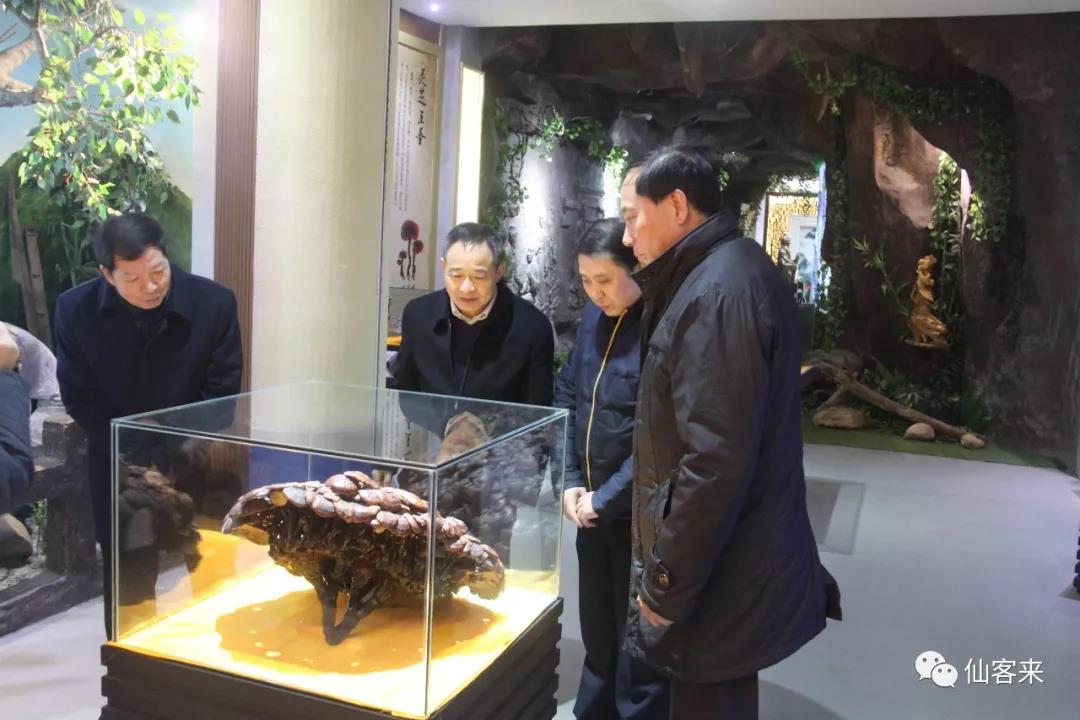 中國靈芝十大品牌|仙客來靈芝|仙客來靈芝破壁孢子粉|仙客來孢子油|仙客來靈芝飲片|仙客來破壁孢子粉|仙客來靈芝中藥飲片|馳名商標|m.uglowindustry.com| 中國靈芝十大品牌|仙客來靈芝|仙客來靈芝破壁孢子粉|仙客來孢子油|仙客來靈芝飲片|仙客來破壁孢子粉|仙客來靈芝中藥飲片|馳名商標|m.uglowindustry.com|