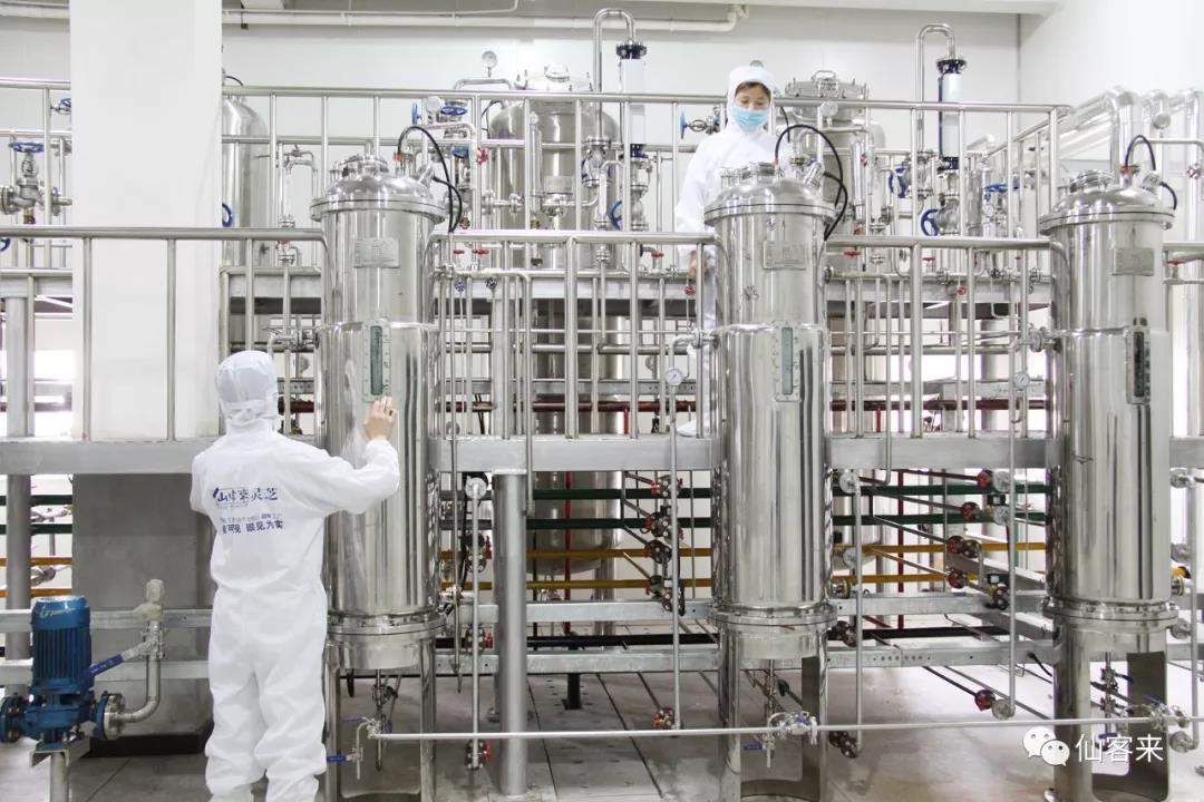 中國(guó)靈芝十大品牌|仙客來(lái)靈芝|仙客來(lái)靈芝破壁孢子粉|仙客來(lái)孢子油|仙客來(lái)靈芝飲片|仙客來(lái)破壁孢子粉|仙客來(lái)靈芝中藥飲片|馳名商標(biāo)|m.uglowindustry.com|