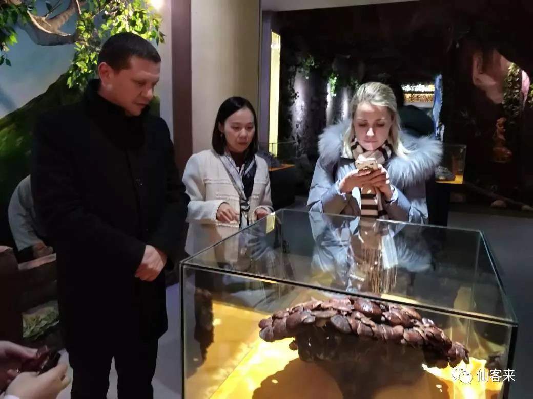 中國靈芝十大品牌|仙客來靈芝|仙客來靈芝破壁孢子粉|仙客來孢子油|仙客來靈芝飲片|仙客來破壁孢子粉|仙客來靈芝中藥飲片|馳名商標|m.uglowindustry.com|