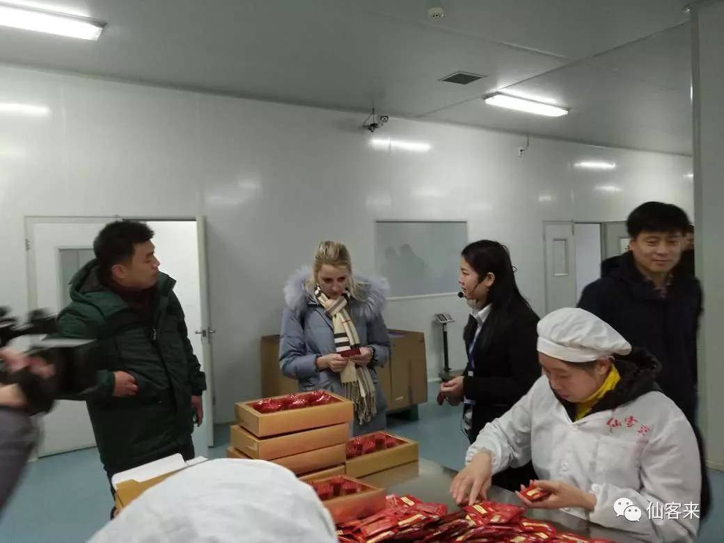 杭州亞運會官方靈芝產(chǎn)品供應商|杭州亞運會官方供應商|中國靈芝十大品牌|仙客來靈芝|仙客來靈芝破壁孢子粉|仙客來孢子油|仙客來靈芝飲片|仙客來破壁孢子粉|靈芝孢子油|孢子粉|靈芝破壁孢子粉|靈芝|中華老字號