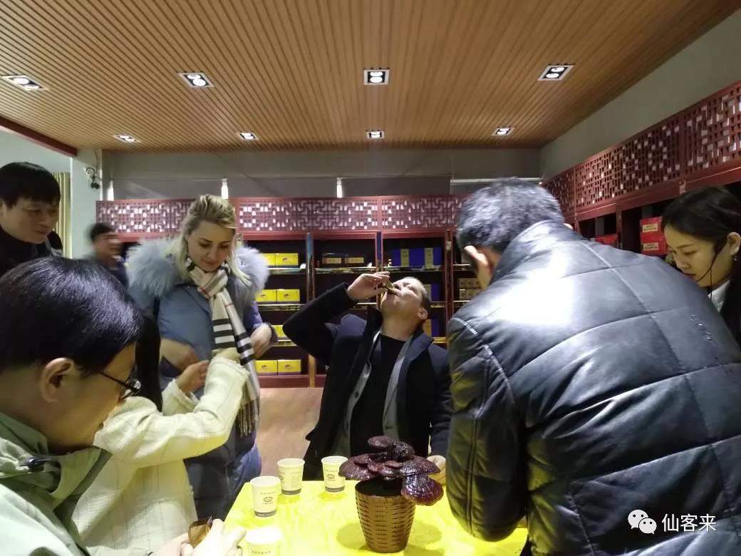 杭州亞運會官方靈芝產(chǎn)品供應商|杭州亞運會官方供應商|中國靈芝十大品牌|仙客來靈芝|仙客來靈芝破壁孢子粉|仙客來孢子油|仙客來靈芝飲片|仙客來破壁孢子粉|靈芝孢子油|孢子粉|靈芝破壁孢子粉|靈芝|中華老字號