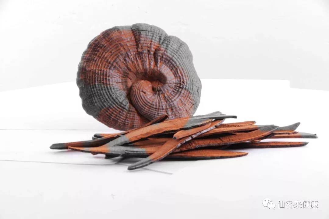 中國靈芝十大品牌|仙客來靈芝|仙客來靈芝破壁孢子粉|仙客來孢子油|仙客來靈芝飲片|仙客來破壁孢子粉|仙客來靈芝中藥飲片|馳名商標(biāo)|m.uglowindustry.com|