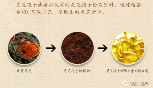 中國靈芝十大品牌|仙客來靈芝|仙客來靈芝破壁孢子粉|仙客來孢子油|仙客來靈芝飲片|仙客來破壁孢子粉|仙客來靈芝中藥飲片|馳名商標(biāo)|m.uglowindustry.com|