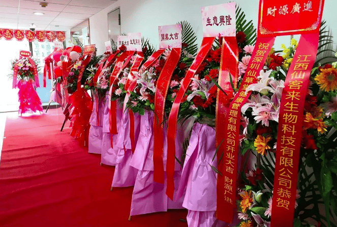 中國(guó)靈芝十大品牌|仙客來(lái)靈芝|仙客來(lái)靈芝破壁孢子粉|仙客來(lái)孢子油|仙客來(lái)靈芝飲片|仙客來(lái)破壁孢子粉|仙客來(lái)靈芝中藥飲片|馳名商標(biāo)|m.uglowindustry.com|