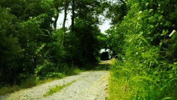 中國靈芝十大品牌|仙客來靈芝|仙客來靈芝破壁孢子粉|仙客來孢子油|仙客來靈芝飲片|仙客來破壁孢子粉|仙客來靈芝中藥飲片|馳名商標|m.uglowindustry.com|