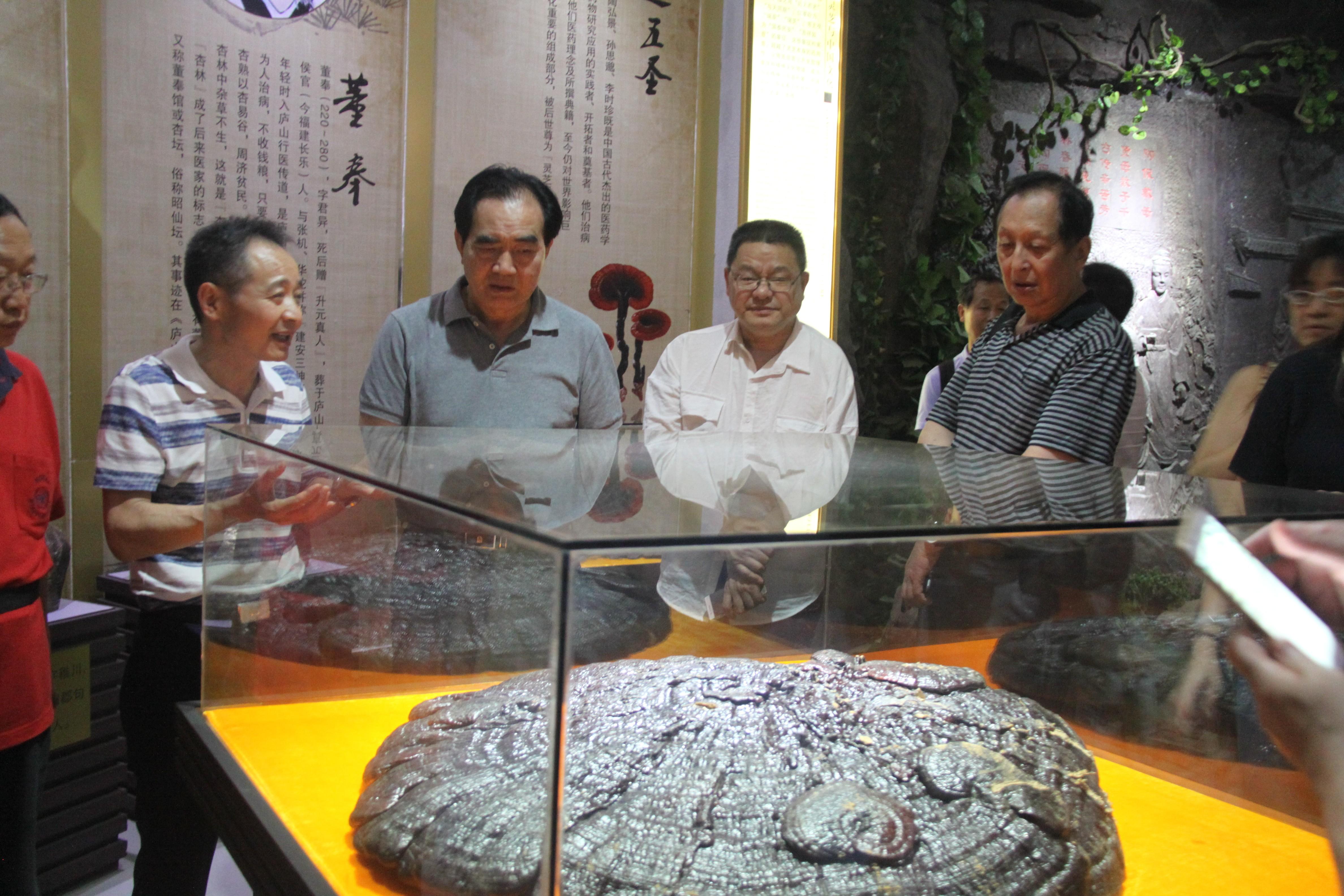 中國(guó)靈芝十大品牌|仙客來(lái)靈芝|仙客來(lái)靈芝破壁孢子粉|仙客來(lái)孢子油|仙客來(lái)靈芝飲片|仙客來(lái)破壁孢子粉|仙客來(lái)靈芝中藥飲片|馳名商標(biāo)|m.uglowindustry.com|