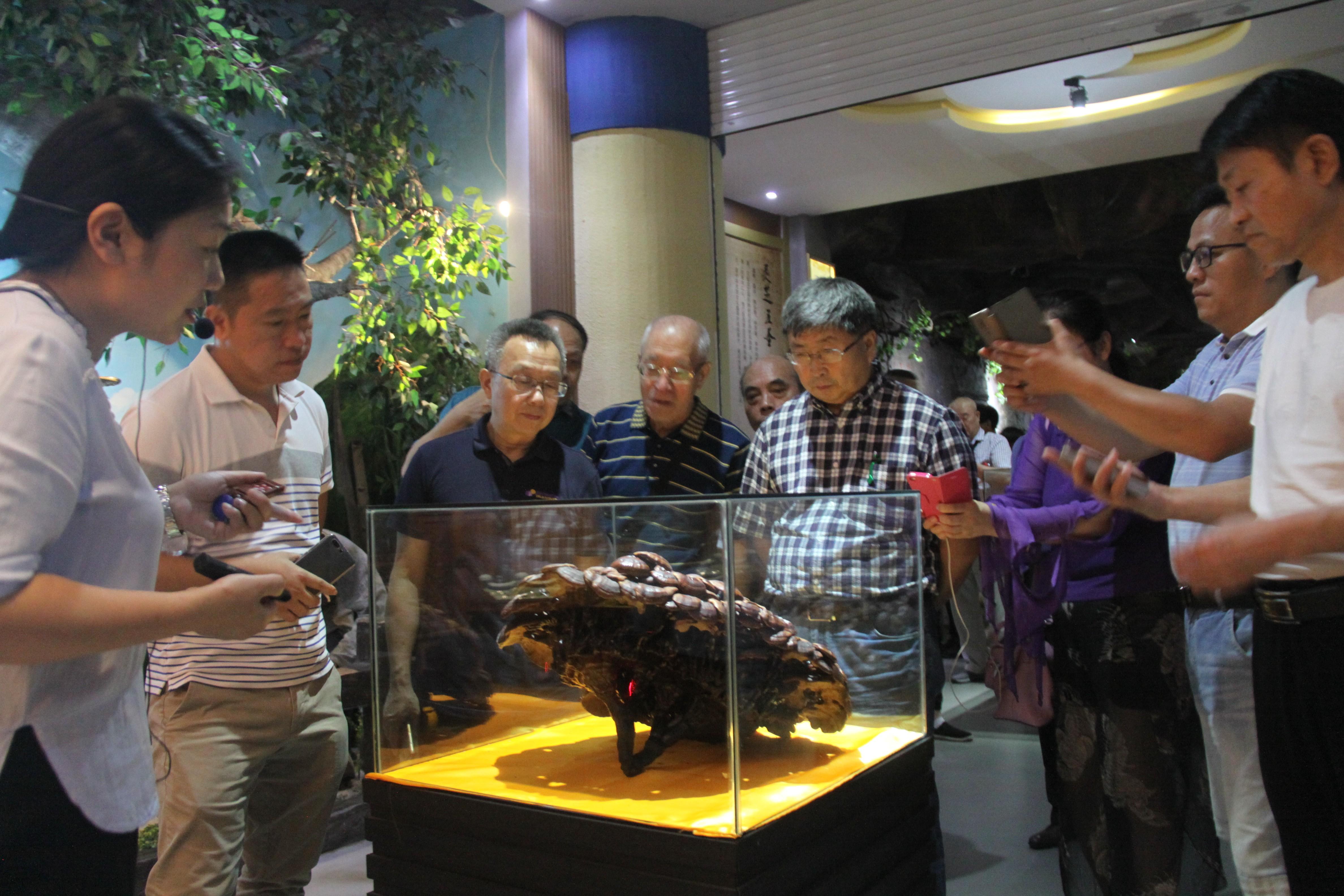 中國(guó)靈芝十大品牌|仙客來(lái)靈芝|仙客來(lái)靈芝破壁孢子粉|仙客來(lái)孢子油|仙客來(lái)靈芝飲片|仙客來(lái)破壁孢子粉|仙客來(lái)靈芝中藥飲片|馳名商標(biāo)|m.uglowindustry.com|