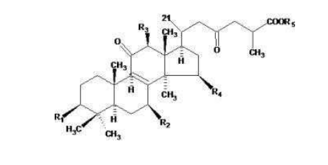 中國靈芝十大品牌|仙客來靈芝|仙客來靈芝破壁孢子粉|仙客來孢子油|仙客來靈芝飲片|仙客來破壁孢子粉|仙客來靈芝中藥飲片|馳名商標(biāo)|m.uglowindustry.com|