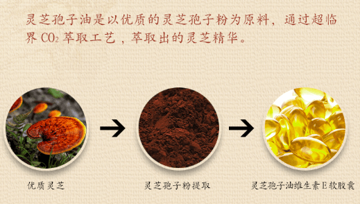 中國靈芝十大品牌|仙客來靈芝|仙客來靈芝破壁孢子粉|仙客來孢子油|仙客來靈芝飲片|仙客來破壁孢子粉|仙客來靈芝中藥飲片|馳名商標(biāo)|m.uglowindustry.com|