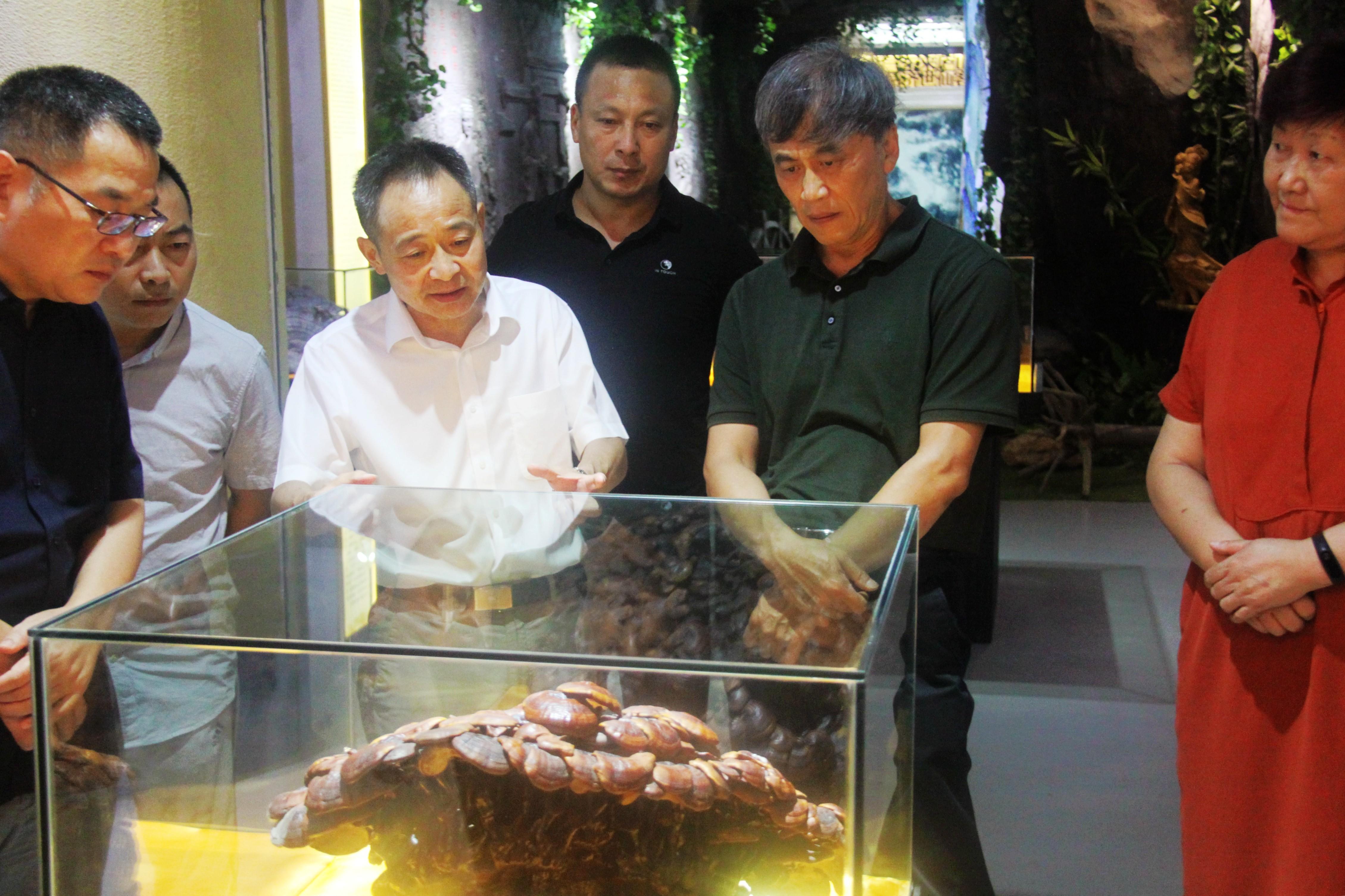 中國靈芝十大品牌|仙客來靈芝|仙客來靈芝破壁孢子粉|仙客來孢子油|仙客來靈芝飲片|仙客來破壁孢子粉|仙客來靈芝中藥飲片|馳名商標|m.uglowindustry.com|