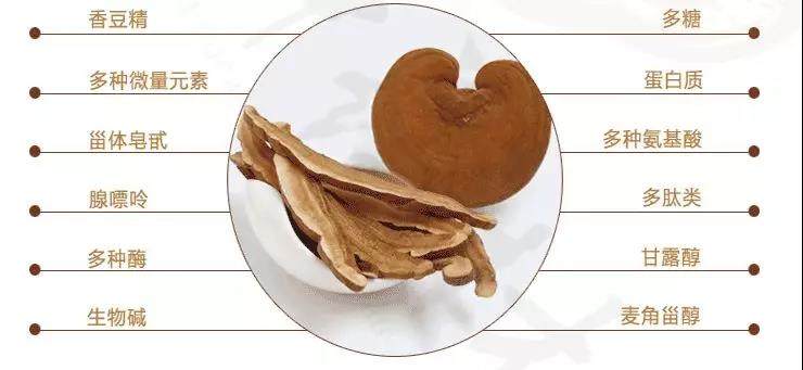 中國靈芝十大品牌|仙客來靈芝|仙客來靈芝破壁孢子粉|仙客來孢子油|仙客來靈芝飲片|仙客來破壁孢子粉|仙客來靈芝中藥飲片|馳名商標|m.uglowindustry.com|