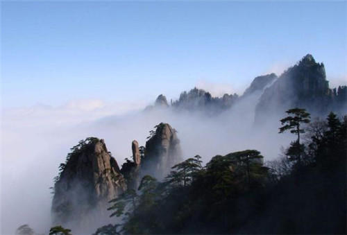 中國靈芝十大品牌|仙客來靈芝|仙客來靈芝破壁孢子粉|仙客來孢子油|仙客來靈芝飲片|仙客來破壁孢子粉|仙客來靈芝中藥飲片|馳名商標(biāo)|m.uglowindustry.com|